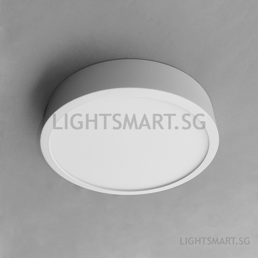 FELICE Ultracompact Surface Downlight  - White