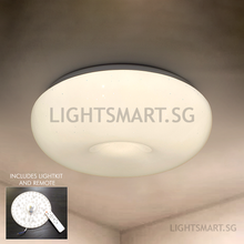Load image into Gallery viewer, STELLAR Starry Ceiling Light (3-tone Colour)
